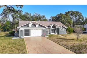 9241 Angora St, SPRING HILL