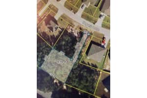 244 BEGONIA LANE, KISSIMMEE, FL 34759 - MLS#MFRO6378692