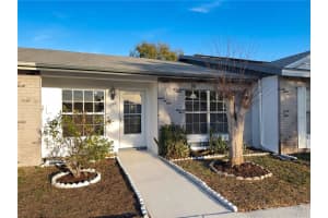 1703 OAK BRANCH COURT, BRANDON, FL 33511 - MLS#MFRO6378932