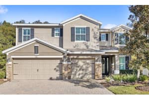 706 FRINGE TREE COURT, DELAND, FL 32724 - MLS#MFRO6378940