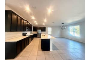 423 KESTREL DRIVE, GROVELAND, FL 34736 - MLS#MFRO6379097