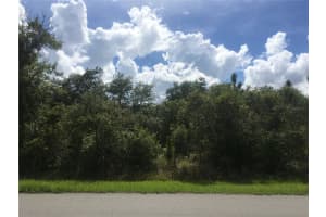 237 EVERGREEN STREET, PUNTA GORDA, FL 33982 - MLS#MFRO6379143