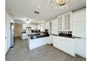 1613 CARRERA DRIVE, THE VILLAGES, FL 32159 - MLS#MFRO6379527