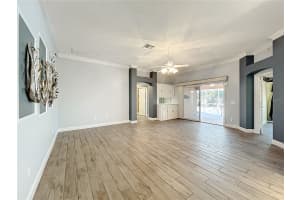 1613 CARRERA DRIVE, THE VILLAGES, FL 32159 - MLS#MFRO6379527