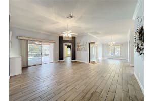 1613 CARRERA DRIVE, THE VILLAGES, FL 32159 - MLS#MFRO6379527