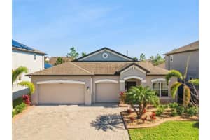 10908 Sage Canyon Dr, RIVERVIEW