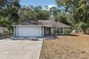 36101 Mattawan Dr, EUSTIS