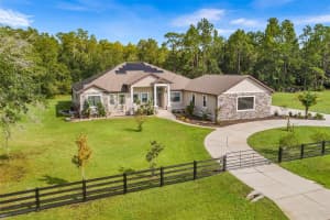 11979 PASCO TRAILS BOULEVARD, SPRING HILL, FL 34610 - MLS#MFRO6379869