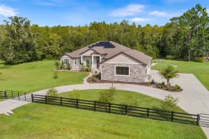 11979 PASCO TRAILS BOULEVARD, SPRING HILL, FL 34610 - MLS#MFRO6379869