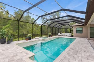 11979 PASCO TRAILS BOULEVARD, SPRING HILL, FL 34610 - MLS#MFRO6379869