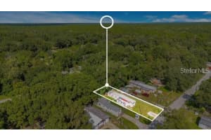 20351 GREENWING ROAD, ALTOONA, FL 32702 - MLS#MFRO6379916