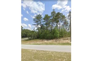 MARION OAKS TRL, OCALA, FL 34473 - MLS#MFRO6379957