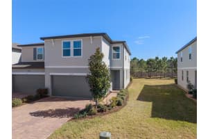 2519 SWEET VIBURNUM WAY, OCOEE, FL 34761 - MLS#MFRO6380099