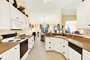 4721 TARA VIEW ROAD, LEESBURG, FL 34748 - MLS#MFRO6380183