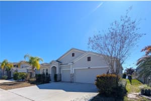 1073 MONTGOMERY BELL ROAD, WESLEY CHAPEL, FL 33543 - MLS#MFRO6380254