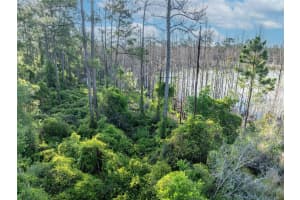 MELSHIRE AVE, DELTONA, FL 32738 - MLS#MFRO6380324