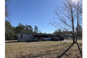 41700 Shadow, DELAND