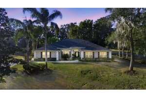 36602 Honey Tree Ct, EUSTIS