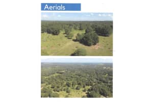 BUCKAROO AVE, EUSTIS, FL 32726 - MLS#MFRO6380418