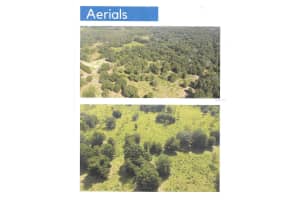 BUCKAROO AVE, EUSTIS, FL 32726 - MLS#MFRO6380418