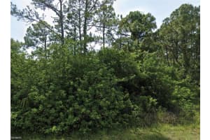 FLAMBEAU AVE, NORTH PORT, FL 34288 - MLS#MFRO6380458