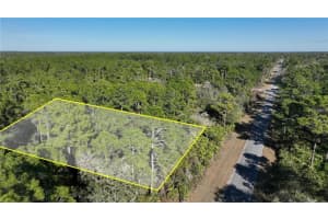 SAFFRON AVE, EUSTIS, FL 32736 - MLS#MFRO6380462