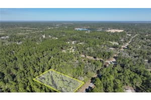 SAFFRON AVE, EUSTIS, FL 32736 - MLS#MFRO6380462