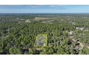 SAFFRON AVE, EUSTIS, FL 32736 - MLS#MFRO6380462