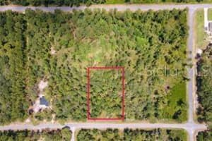 SAFFRON AVE, EUSTIS, FL 32736 - MLS#MFRO6380462