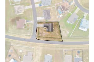 1100 NELSON MEADOW LANE, KISSIMMEE, FL 34759 - MLS#MFRO6380465