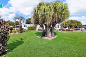 203 CHALLENGER AVENUE, DAVENPORT, FL 33897 - MLS#MFRO6380562