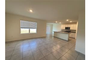 30915 PENNY SURF LOOP, WESLEY CHAPEL, FL 33545 - MLS#MFRO6380643