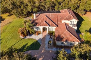 16623 ROYAL PALM DRIVE, GROVELAND, FL 34736 - MLS#MFRO6380686