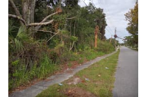 CARVER ST, MIMS, FL 32754 - MLS#MFRO6380783