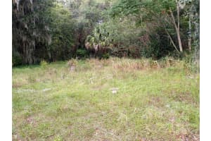 CARVER ST, MIMS, FL 32754 - MLS#MFRO6380783