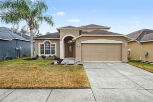 10602 Beneva Dr, TAMPA
