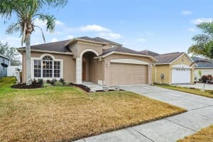 10602 BENEVA DRIVE, TAMPA, FL 33647 - MLS#MFRO6380799