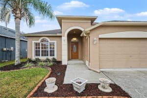10602 BENEVA DRIVE, TAMPA, FL 33647 - MLS#MFRO6380799