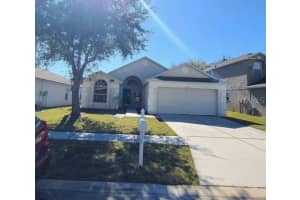 25442 Bruford Blvd, LAND O LAKES