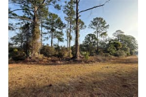 W THYME AVE, EUSTIS, FL 32736 - MLS#MFRO6380913