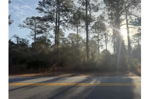 W THYME AVE, EUSTIS, FL 32736 - MLS#MFRO6380913