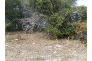 1680 CATALINA BLVD, DELTONA, FL 32738 - MLS#MFRO6381351