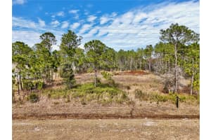 19115 MEREDITH PARKWAY, ORLANDO, FL 32833 - MLS#MFRO6381353