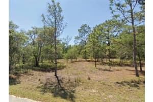 0 204TH STREET, DUNNELLON, FL 34431 - MLS#MFRO6381355