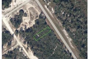 949 COUNTY ROAD 29, LAKE PLACID, FL 33852 - MLS#MFRO6381400