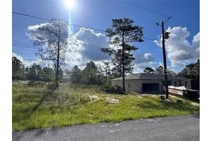 6597 GRAYTON TERRACE, DUNNELLON, FL 34433 - MLS#MFRO6381412