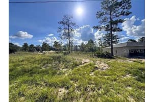 6597 GRAYTON TERRACE, DUNNELLON, FL 34433 - MLS#MFRO6381412
