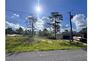 6597 GRAYTON TERRACE, DUNNELLON, FL 34433 - MLS#MFRO6381412