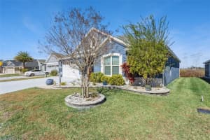 1017 WILDER PATH, THE VILLAGES, FL 32163 - MLS#MFRO6381417