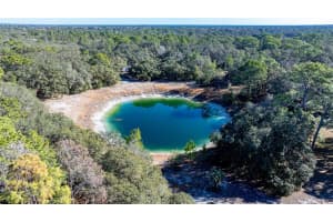 13615 TYRONE STREET, HUDSON, FL 34667 - MLS#MFRO6381472